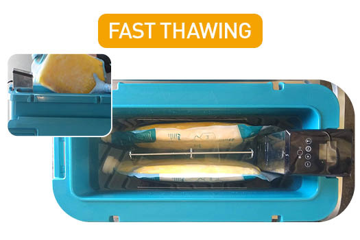 colostrum pasteuriser fast thawing