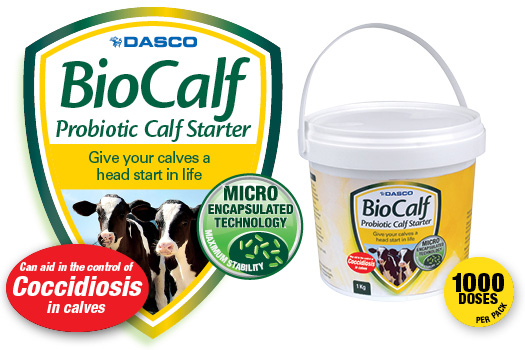 Biocalf probiotic
