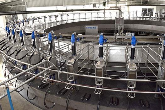 Milking Systems
