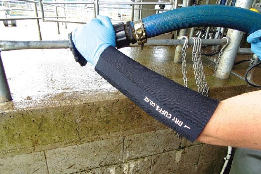 Dry Cuffs for Dairy Farms