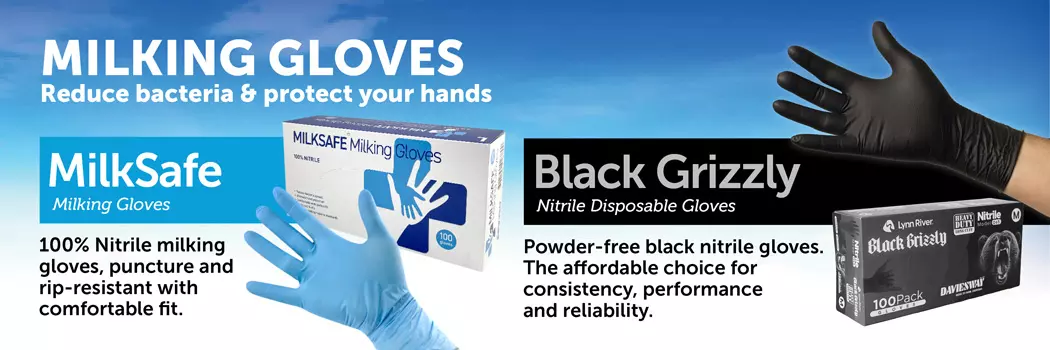 Milking Gloves