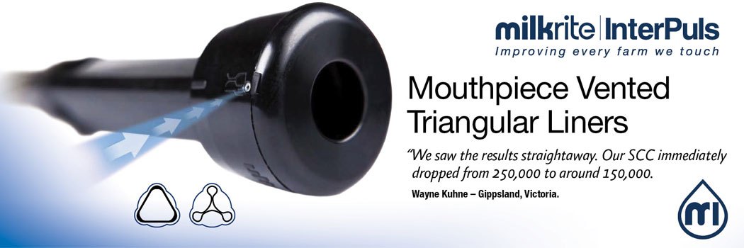 Mouthpiece Vented Triangular Liners